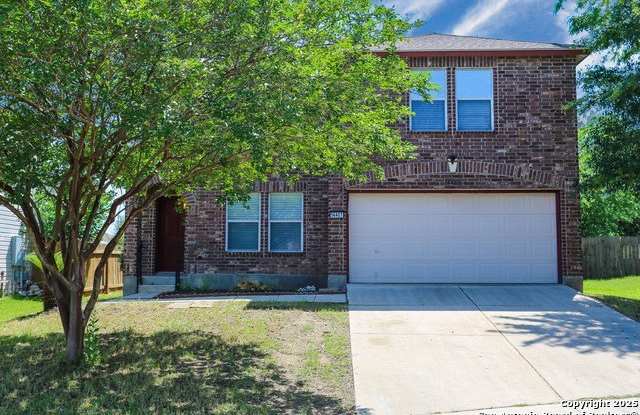 14407 Longleaf Palm photos photos