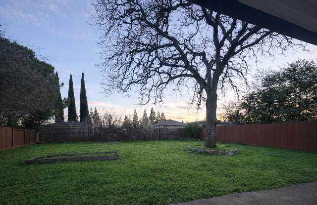 11750 Jones St. photos photos