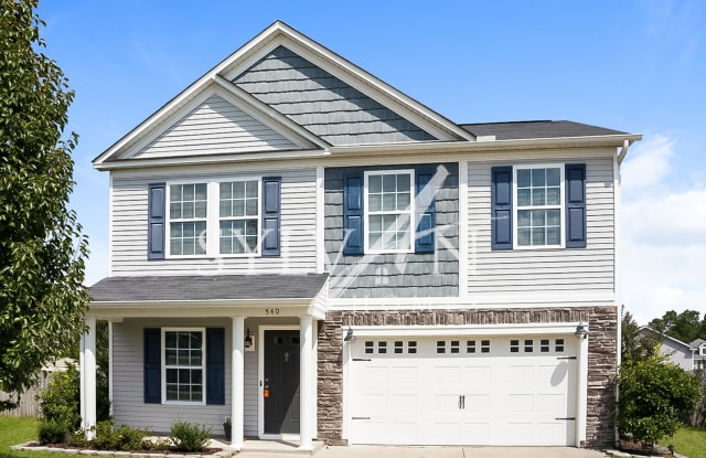 540 Sagauro Ct - 540 Sagauro Court, Lexington County, SC 29073