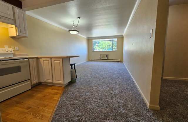 DU 1 Bed 1 Bath Condo Steps Away From Everything DU!! Available Now Gallery 1