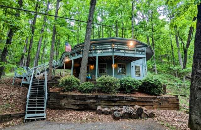 828 Little Pine Mountain - 828 Little Pine Mountain Road, Pickens County, GA 30143