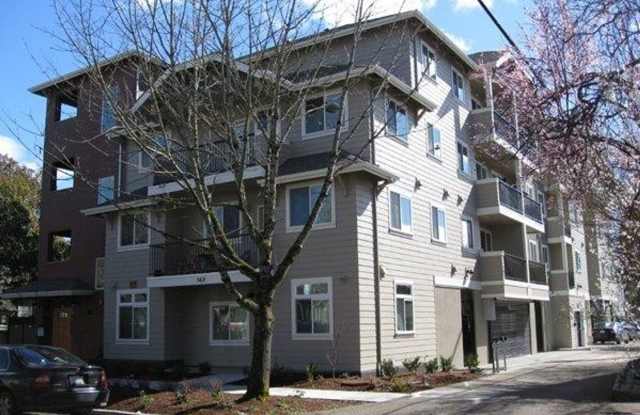 Midtown Apartments photos photos