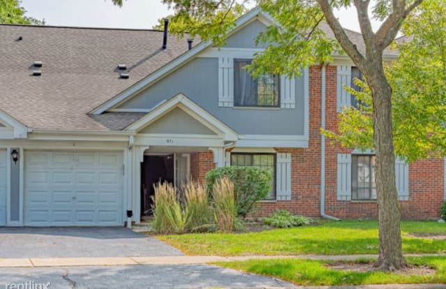 971 YOSEMITE TRAIL A - 971 Yosemite Trail, Roselle, IL 60172