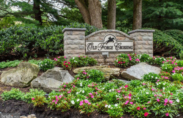 509 OLD FORGE Crossing Gallery 1