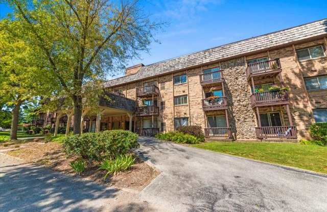 241 Main - 241 East Main Street, Lake Zurich, IL 60047