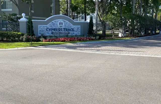 Cypress Trace Gallery 3