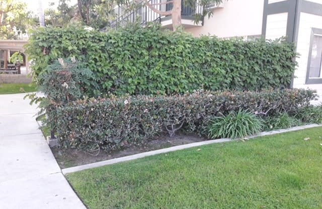 13926 Ramhurst Drive Gallery 3