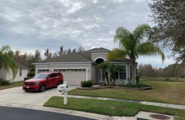 1019 Appian Plaza - 1019 Appian Pl, Wesley Chapel, FL 33543