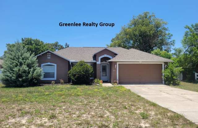 Updated and Spacious 4 Bed/2Bath/2Car Garage Home in Spring Hill photos photos