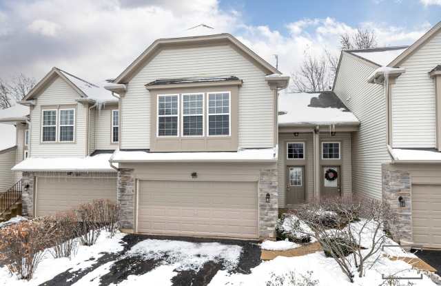 603 Conservatory Lane - 603 Conservatory Lane, Aurora, IL 60502