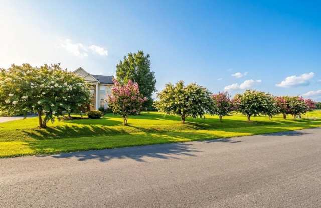 12936 BROADVIEW RUN Drive Gallery 4