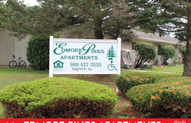 677 W Pine St - 677 West Pine Street, Edmore, MI 48829