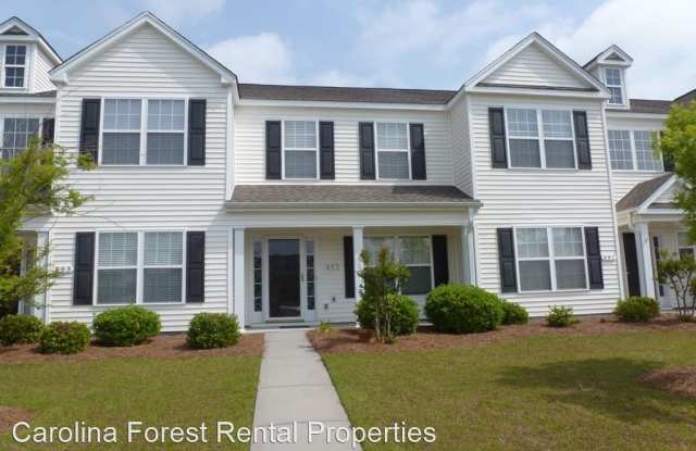 893 Barn Owl Ct. - 893 Barn Owl Court, Horry County, SC 29579