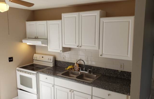 1309 Union St - 1309 Union Street, Pinellas County, FL 33755