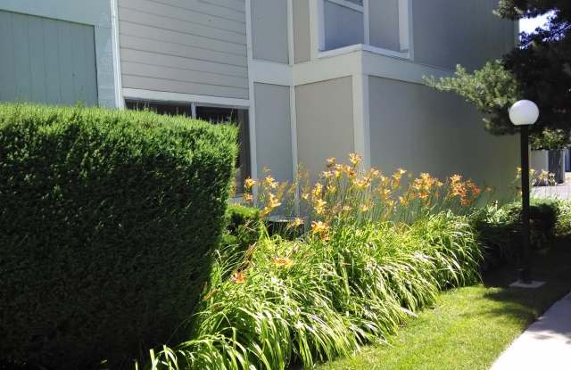 Springland Village Condo photos photos