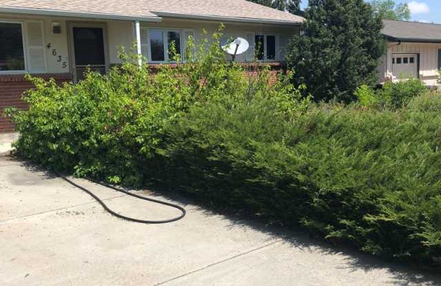 Last minute screaming deal for CU students: Rent 1 room in this South Boulder house photos photos