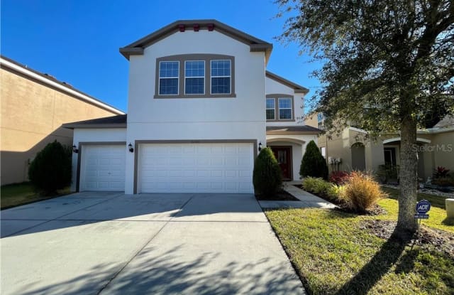 20301 AUTUMN FERN AVENUE - 20301 Autum Fern Avenue, Pebble Creek, FL 33647