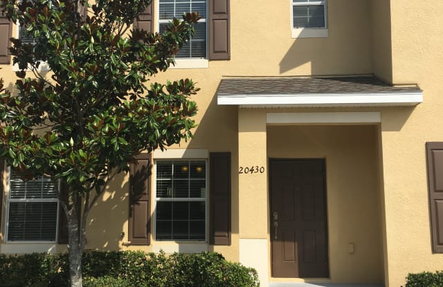 20430 Berrywood Ln - 20430 Berrywood Lane, Tampa, FL 33647