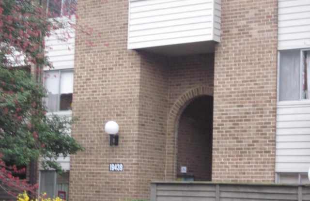 19439 BRASSIE unit: 301 photos photos