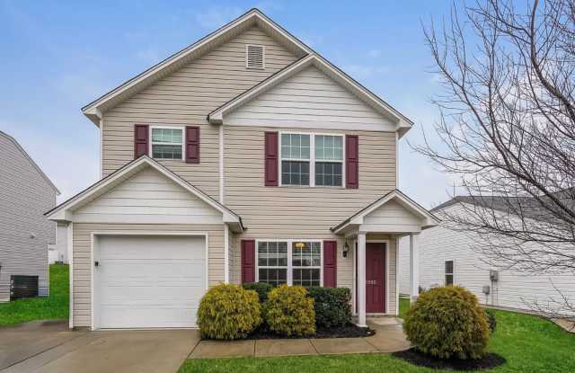 3985 Shallowcreek Ct photos photos