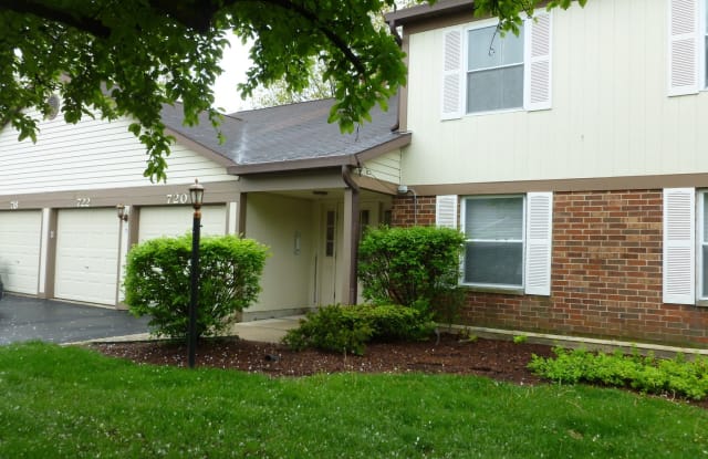 716 N Deer Run Drive - 716 North Deer Run Drive, Palatine, IL 60067