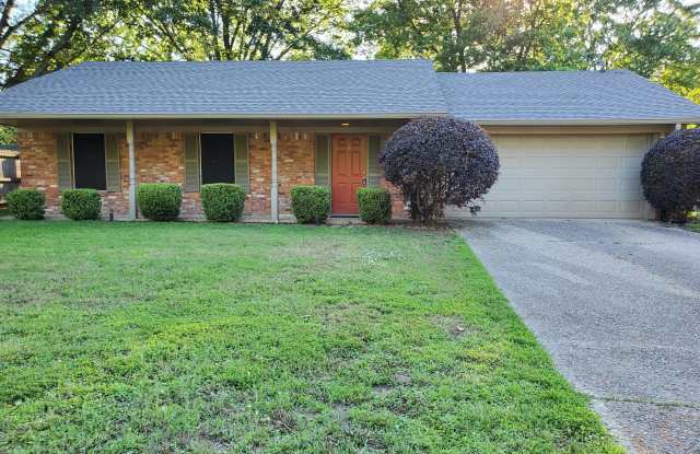 3205 Andy Lane - 3205 Andy Ln, Tyler, TX 75701