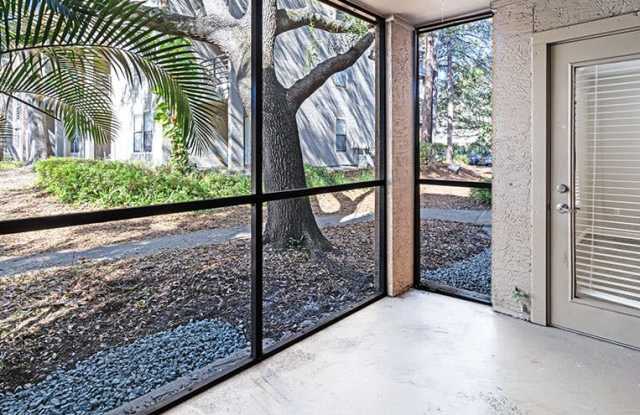 Sabal Palm at Lake Buena Vista Gallery 4