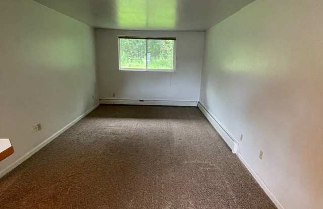 1 BD, 1 BA Apartment Nestled Back on a Cul-de-Sac Gallery 3