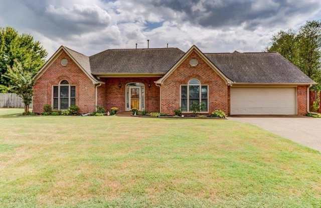 615 JOCKEY photos photos