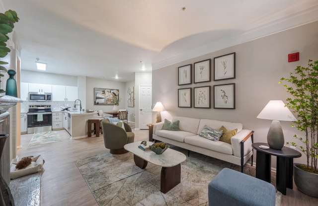 Bristol Village Apartments Gallery 4