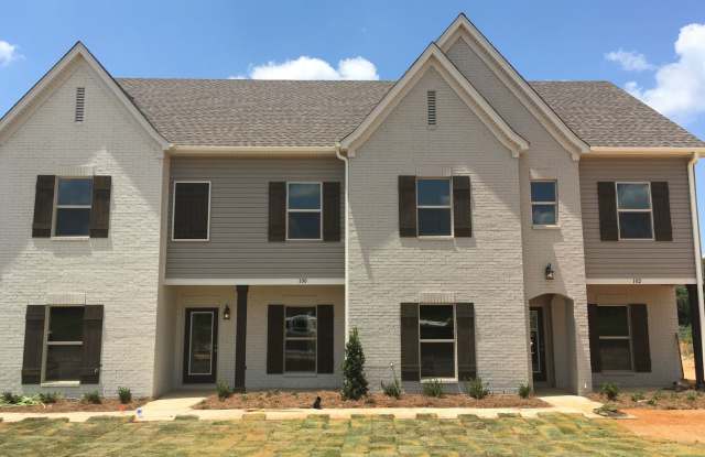 328 Paul T Circle - 328 Paul T Cir, Oxford, MS 38655