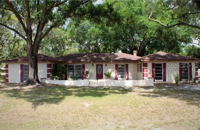 12317 VERONICA AVENUE - 12317 Veronica Avenue, Lake Magdalene, FL 33612
