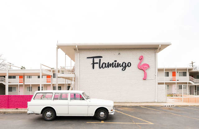 Flamingo photos photos