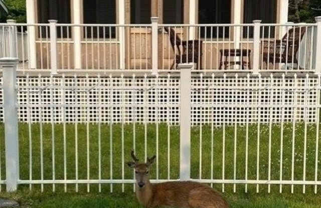 178 Wilmot Road photos photos