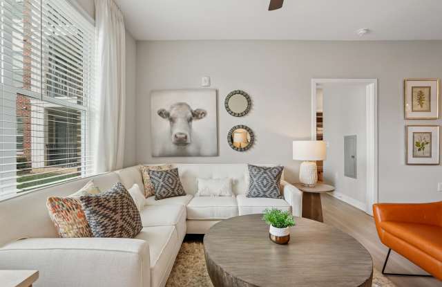 Matthews Square Apartments Gallery 4