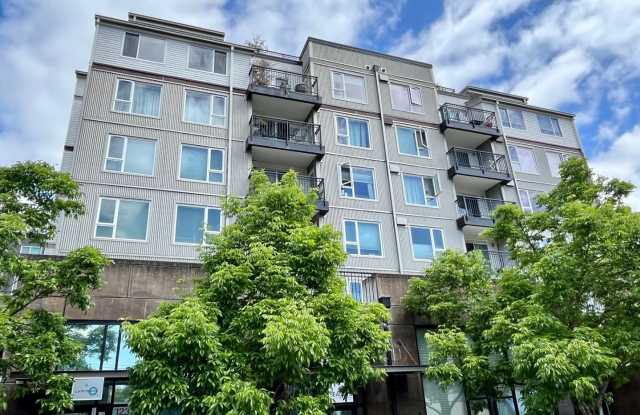 Luminaire Condominiums ~ Lake City Gallery 1