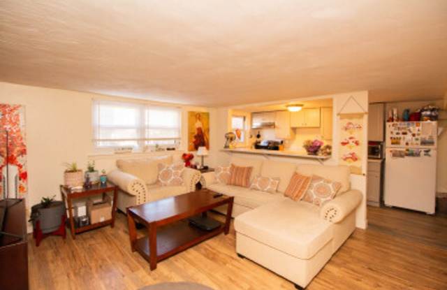 Pet Friendly, Garden Level Affordable Apartment in Brookline w ONE FREE Parking Spot, Heat, Hot Water all INCLUDED! Most Utilities Gallery 3