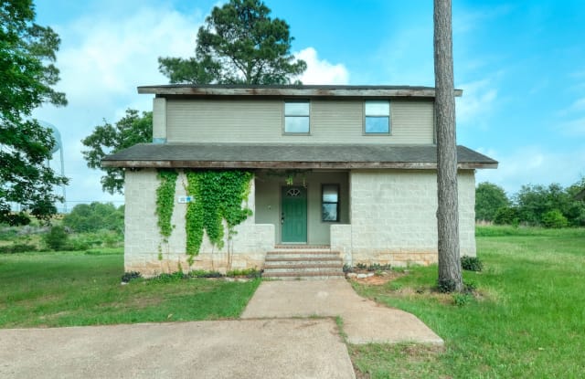 136 Pine Hill Loop - E - 136 Pine Hill Loop, Bastrop County, TX 78602