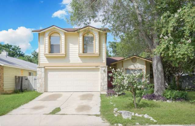 11009 Almond photos photos 11009 Almond photos photos