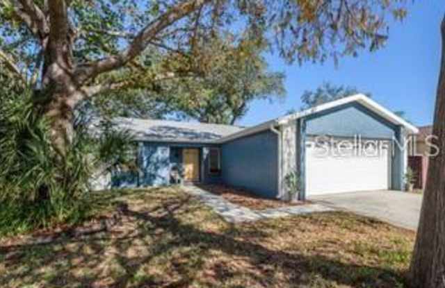 1920 DOVER COURT - 1920 Dover Court, Oldsmar, FL 34677