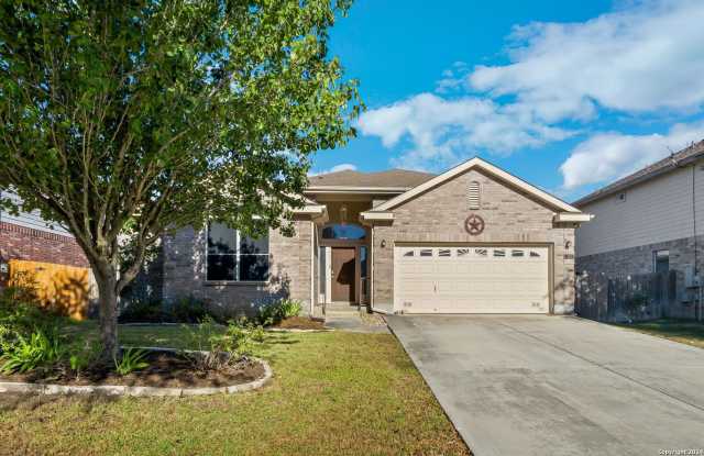 225 Crimson Tree photos photos