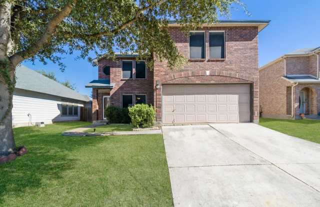 5022 Coral Flounder photos photos 5022 Coral Flounder photos photos