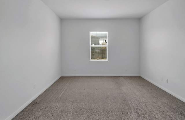 5019 Morning Graze Gallery 4