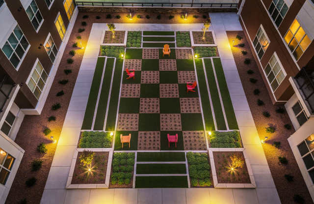 The Vue photos photos