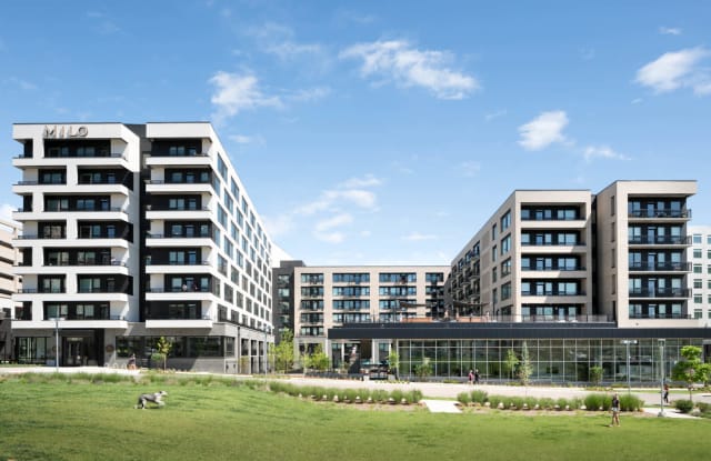 Milo Apartments Gallery 4