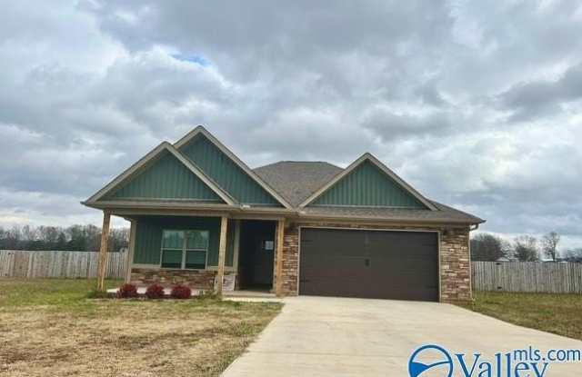 15100 Blackburn Road - 15100 Blackburn Road, Limestone County, AL 35611