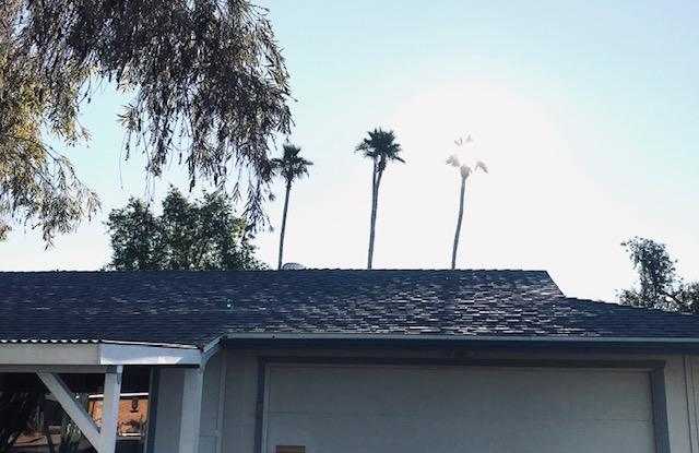 12259 N AUGUSTA Drive Gallery 4