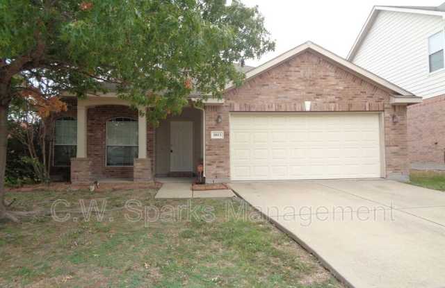 1013 Comfort Drive - 1013 Comfort Drive, Travis Ranch, TX 75126