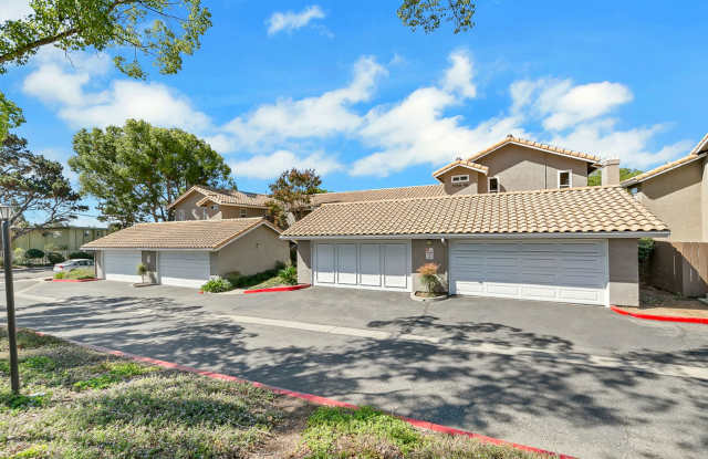 Large 3/2 Townhome with Enclosed Backyard photos photos