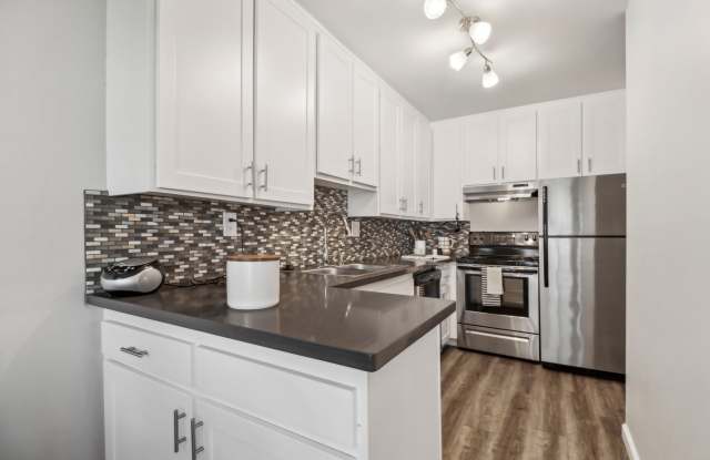 Park Regency Club Apartments Gallery 3